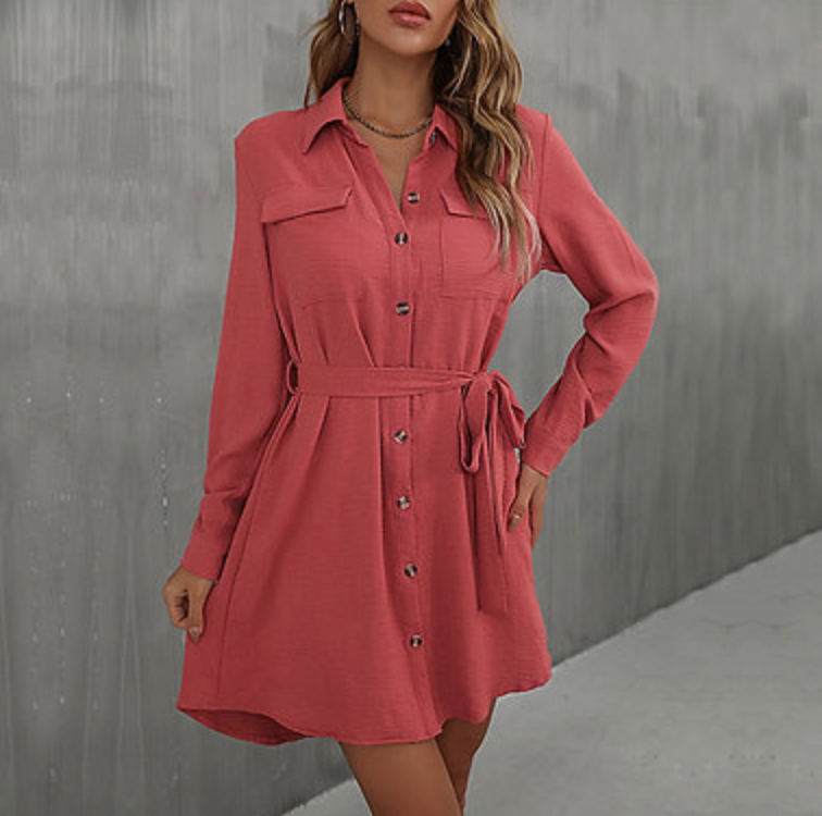 Retro Women's Long Sleeve Belted Dress
